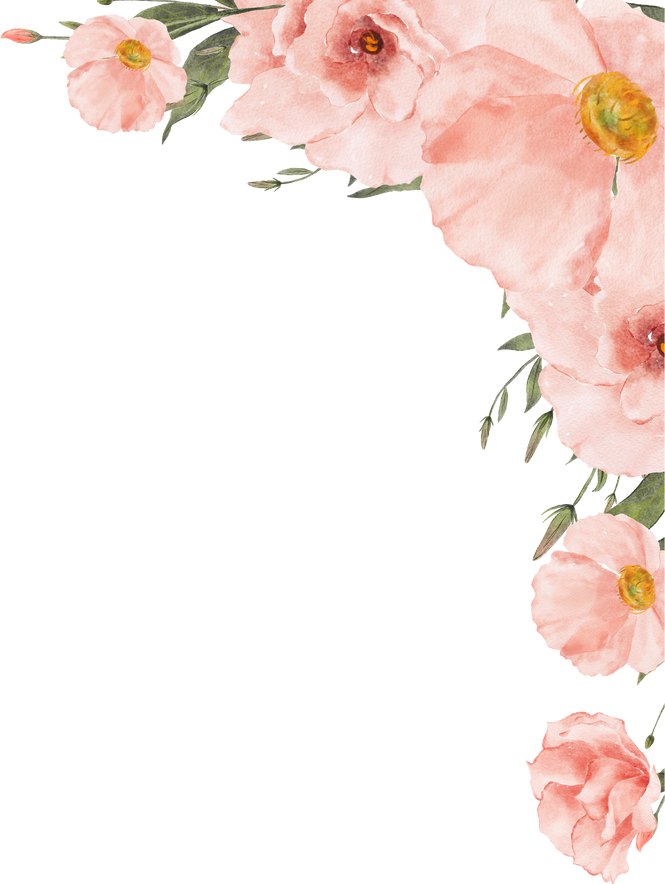 Peach Flower Frame